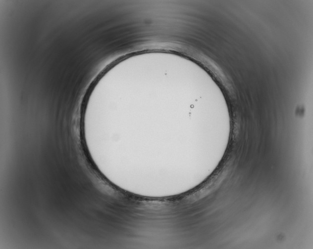 X0000103320836200809050957