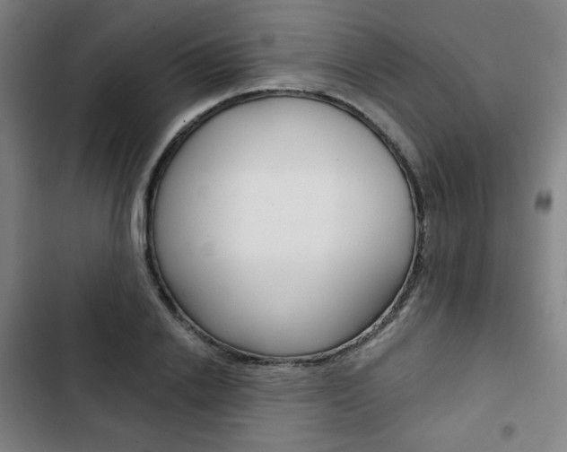 X0000103320838200809050957