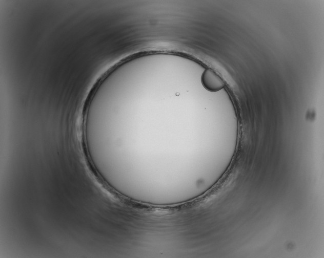 X0000103320839200809050957