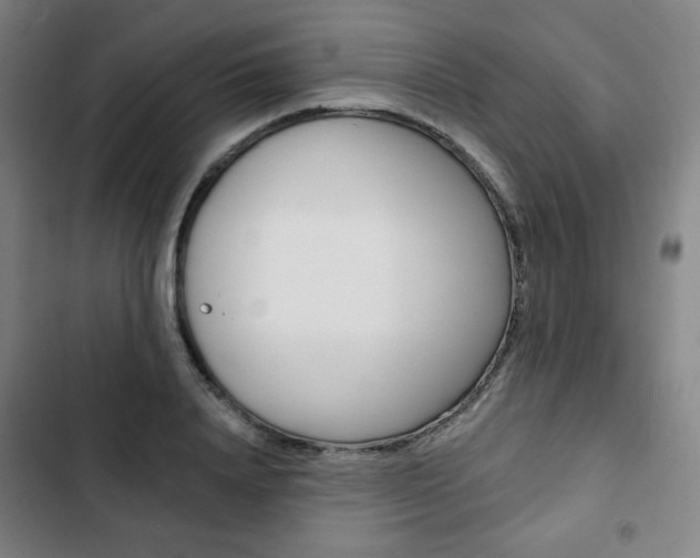 X0000103320840200809050957