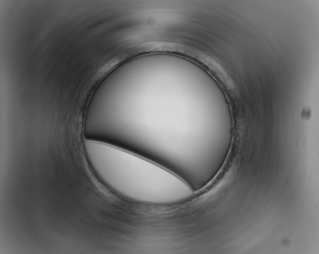 X0000103320841200809050957