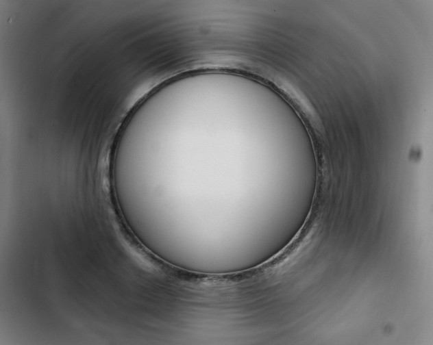 X0000103320842200809050957