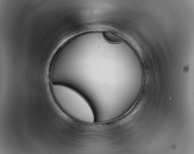 X0000103320843200809050957