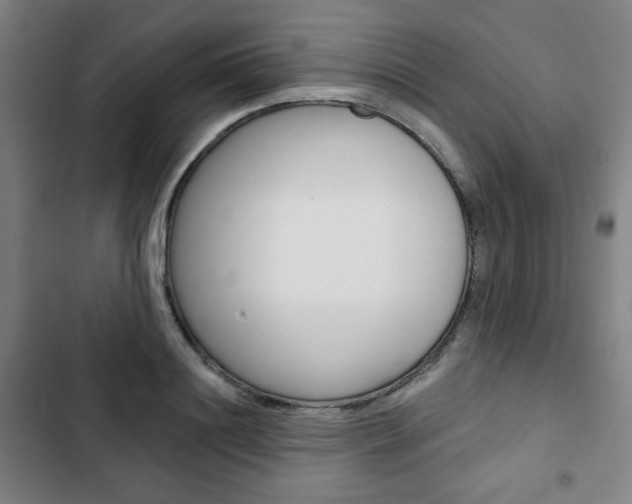 X0000103320844200809050957
