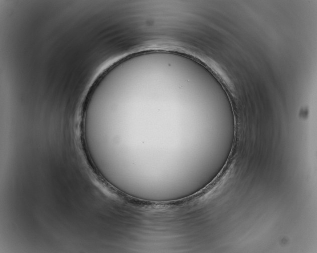 X0000103320846200809050957