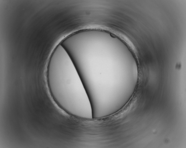 X0000103320847200809050957