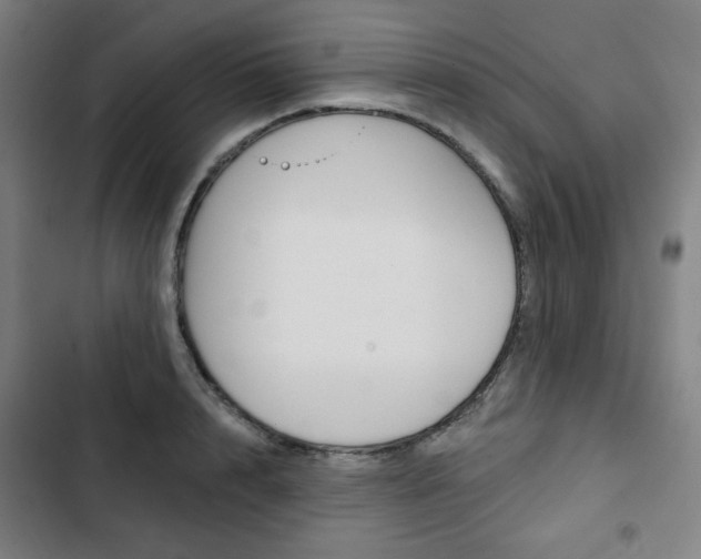 X0000103320848200809050957