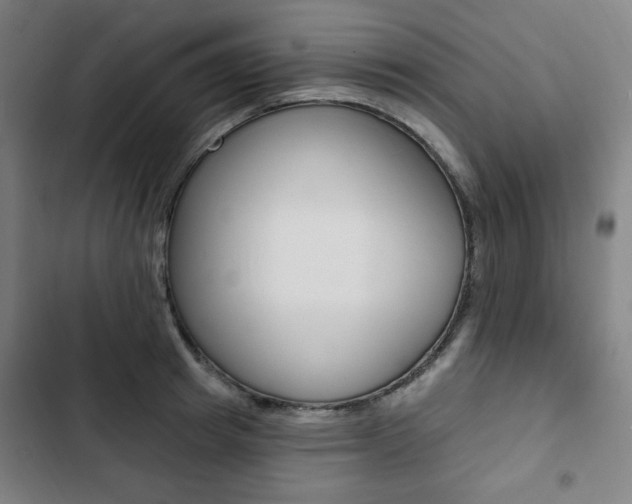 X0000103320849200809050957