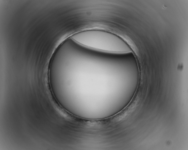 X0000103320850200809050957