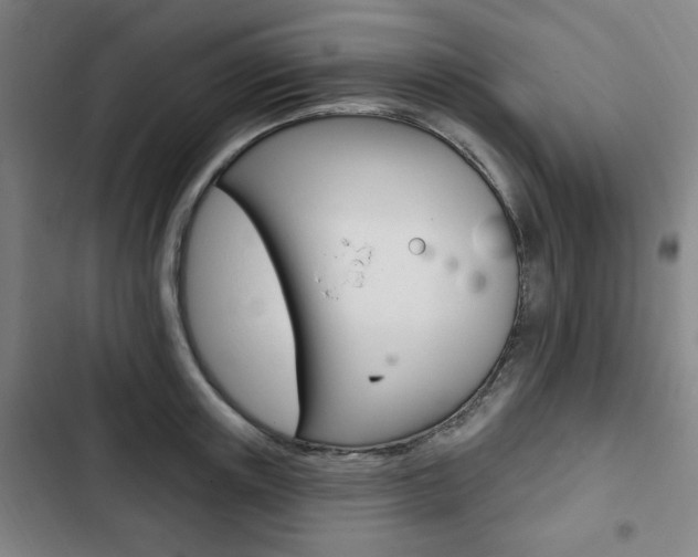 X0000103320851200809050957