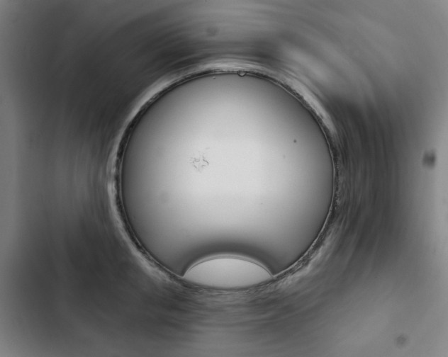 X0000103320853200809050957