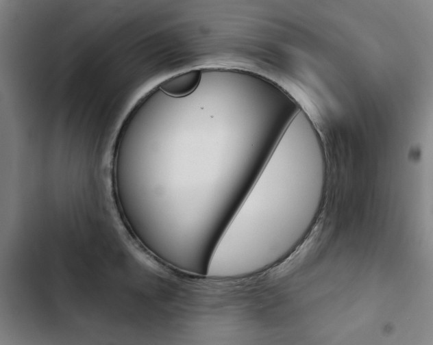 X0000103320854200809050957