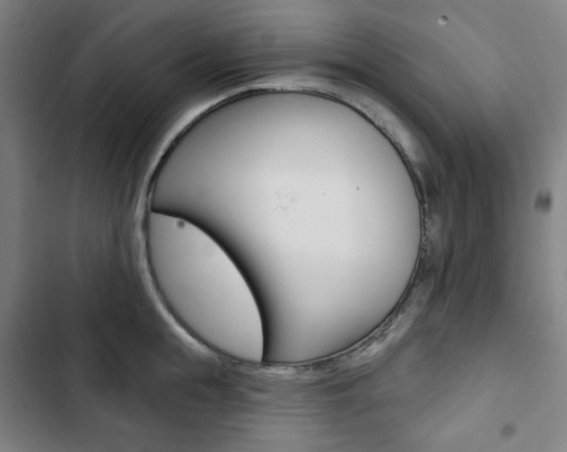 X0000103320855200809050957