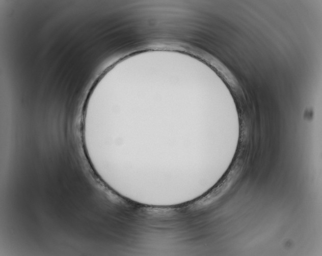 X0000103320856200809050957