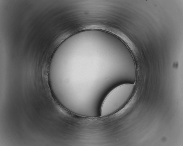 X0000103320857200809050958