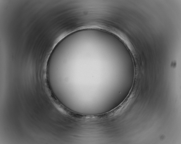 X0000103320858200809050958