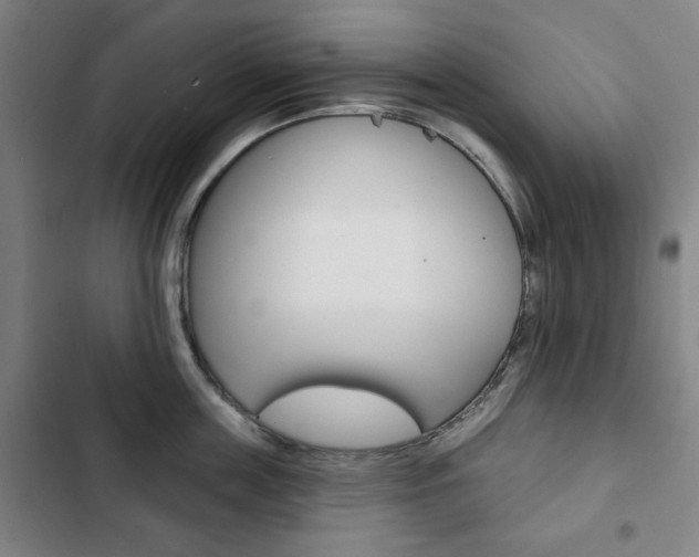 X0000103320859200809050958