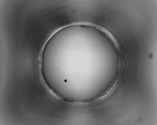 X0000103320860200809050958