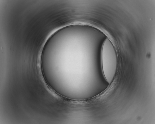 X0000103320862200809050958
