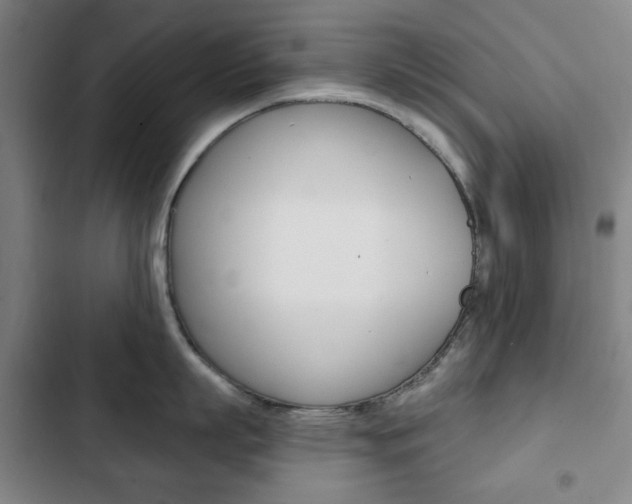 X0000103320863200809050958