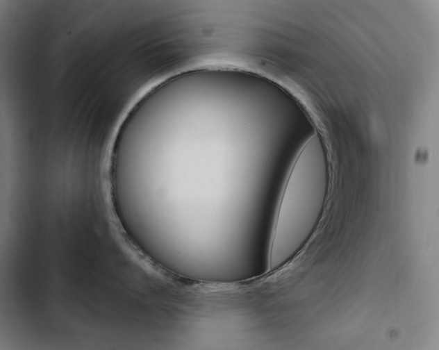 X0000103320864200809050958