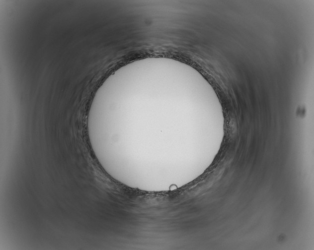 X0000103320865200809050957