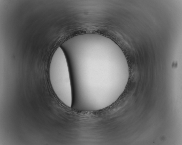 X0000103320866200809050957