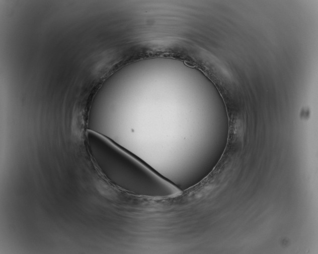X0000103320868200809050957