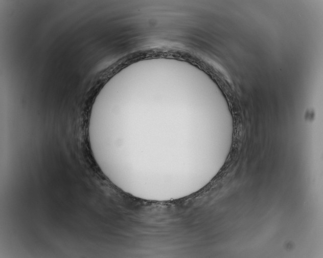 X0000103320869200809050957