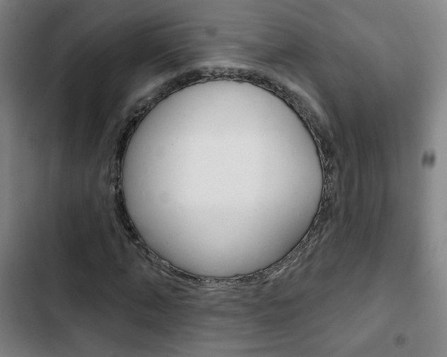 X0000103320870200809050957