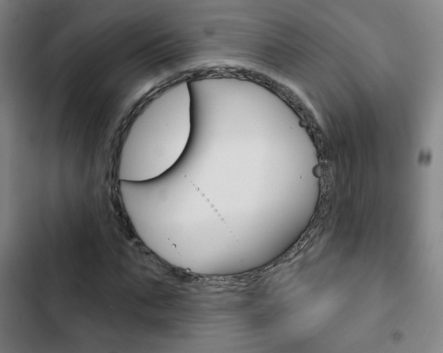 X0000103320871200809050957
