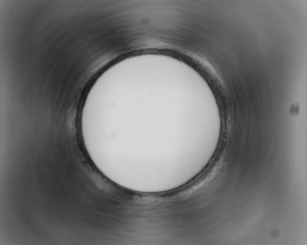 X0000103320873200809050957