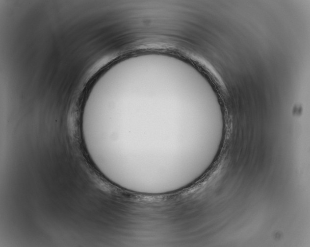X0000103320874200809050957