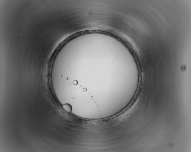 X0000103320875200809050957