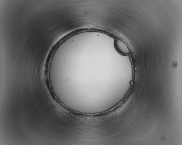 X0000103320876200809050957