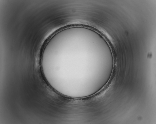 X0000103320877200809050957