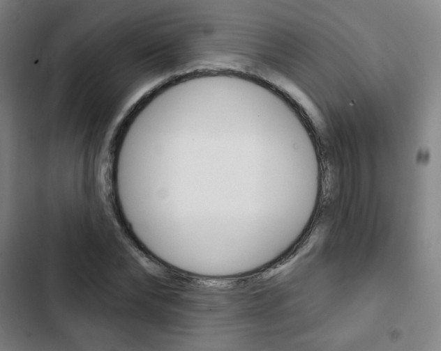 X0000103320878200809050957