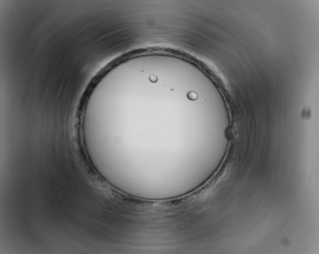 X0000103320879200809050957