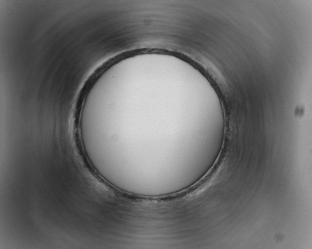 X0000103320880200809050957