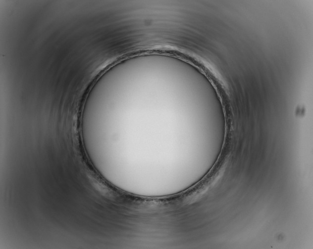 X0000103320881200809050957