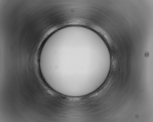 X0000103320882200809050957