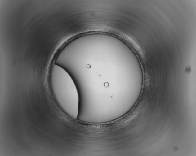 X0000103320883200809050957