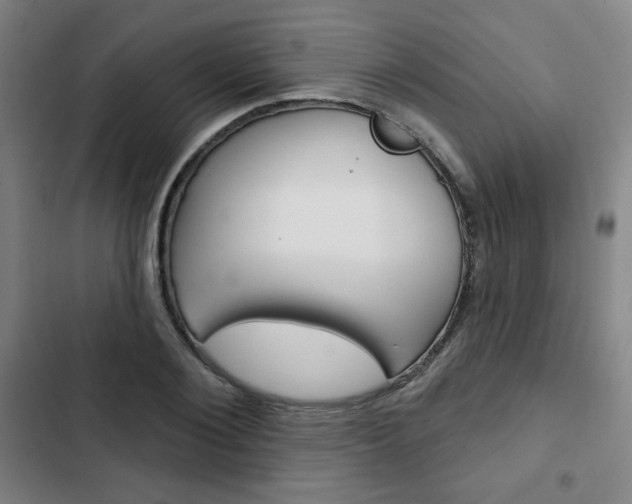 X0000103320884200809050957