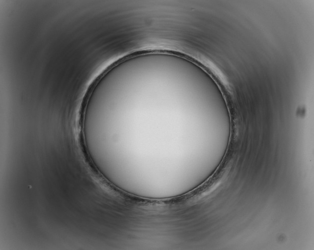 X0000103320885200809050957