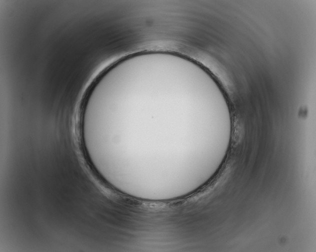 X0000103320886200809050957
