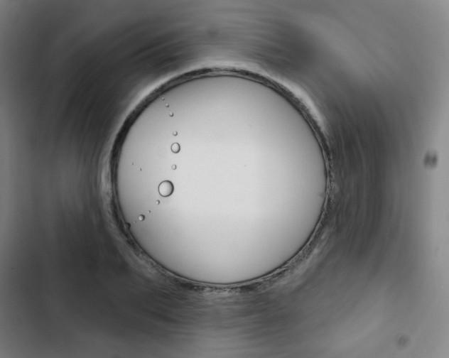 X0000103320887200809050957