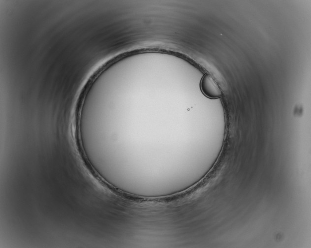 X0000103320888200809050957