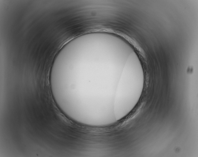 X0000103320889200809050957