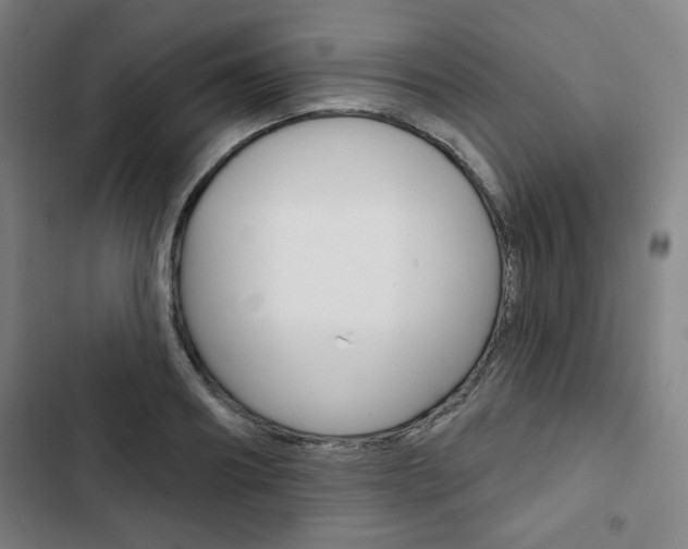 X0000103320890200809050957