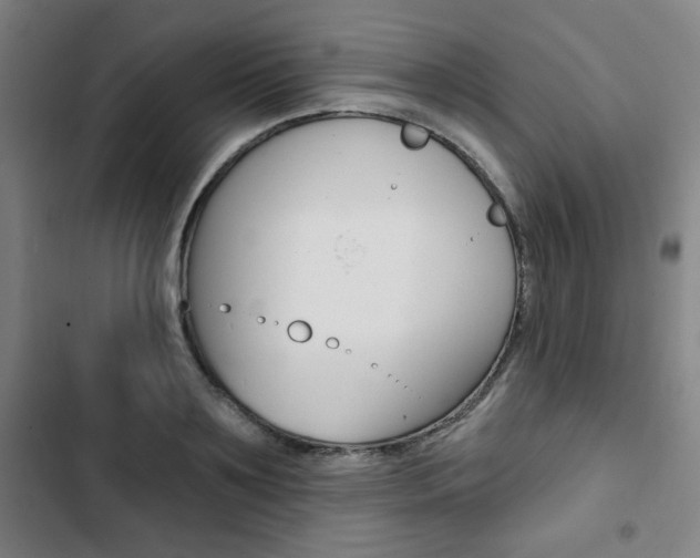 X0000103320891200809050957